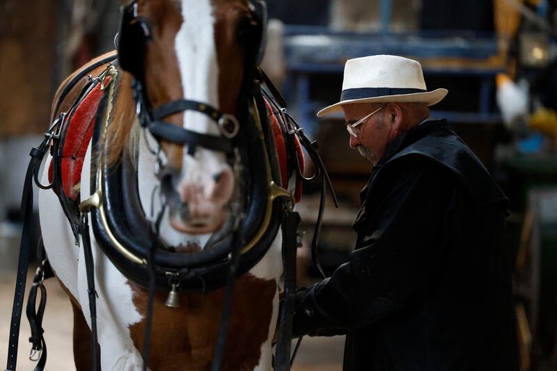 Padser and his mare Christine. Photograph: Nick Bradshaw