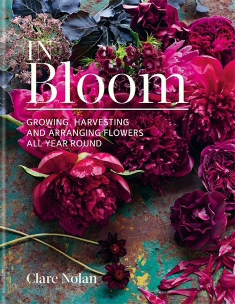 Clare Nolan’s book In Bloom