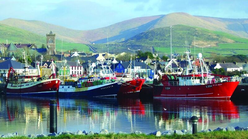 A view of Dingle from the water.