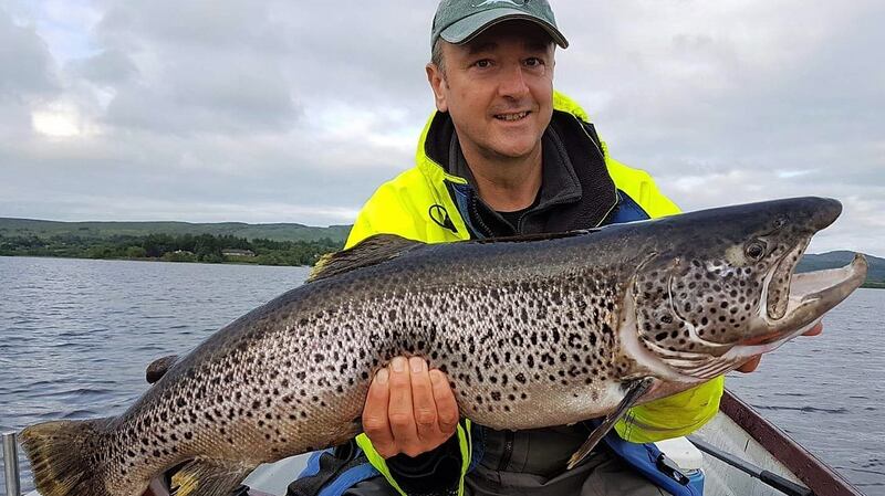 One of several huge trout caught trolling Rapalas on Corrib by group from Switzerland.