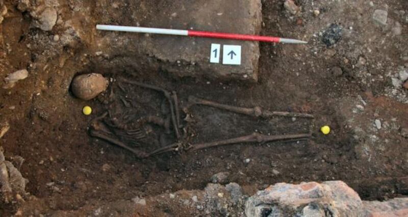 The skeleton of Richard III in a trench at the Grey Friars excavation site in Leicester. Photograph: Reuters