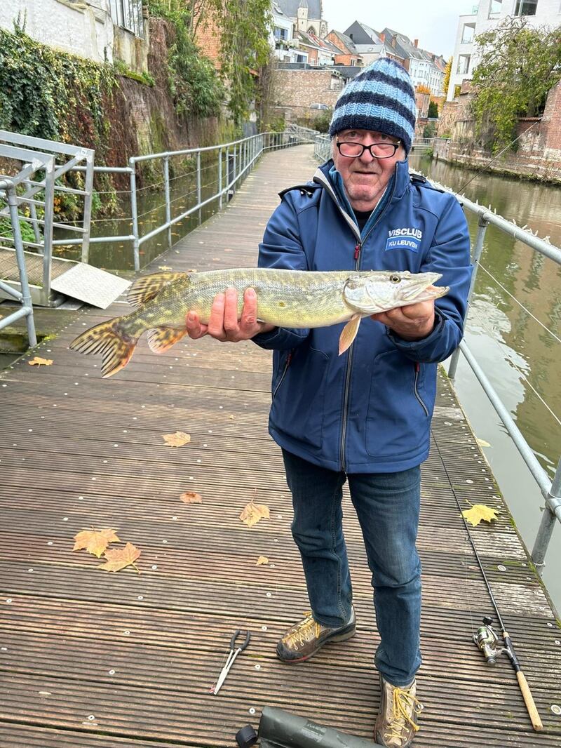 Jef Heylen with his pike, also from the River Dijle in Brussels city centre