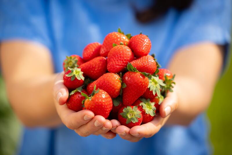 Strawberries are the perfect addition to any dish at any time of the day