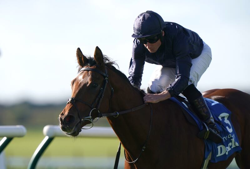 Trainer Aidan O'Brien has high hopes for City Of Troy. Photograph: Tim Goode/PA 