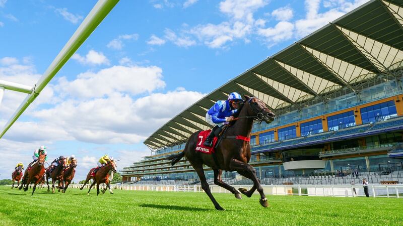 Sussex Stakes winner Mohaather has been retired to stud. Photograph: Mark Cranham/Getty