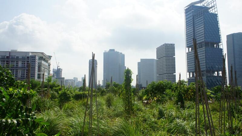 Edible Garden City in Singapore