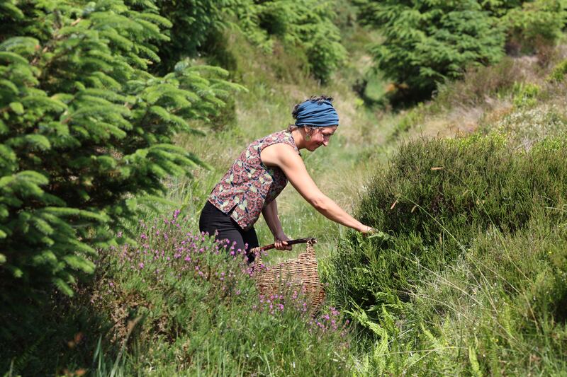 Forager Courtney Tyler at work. Photograph: Nick Bradshaw