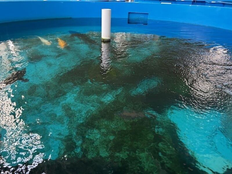 Martyn Turner Cartoon