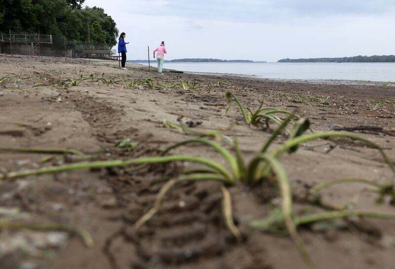Residents use metal detectors to search the muddy banks exposed by the receding waters of the Dnipro river on the central beach of Zaporizhzhia, following the destruction of the Kakhovka dam. Photograph: Anatolii Stepanov/AFP via Getty