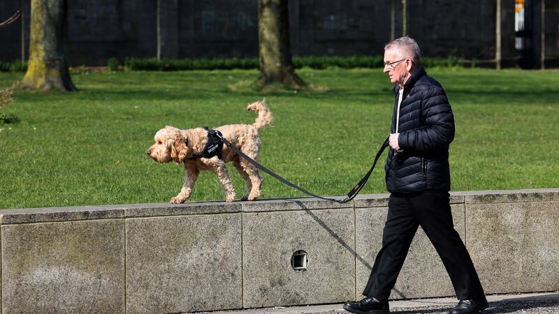 Walking the dog at King’s Inns Park, Dublin, on Monday. Photograph: Dara Mac Dónaill
