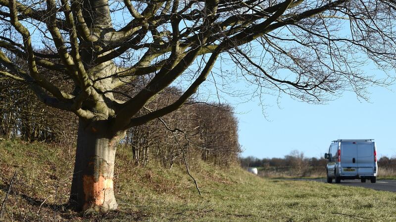 The scene on the A1303 near Bottisham in Cambridgeshire where a red Mazda 3 driven by youth football and scout Michael ‘Kit’ Carson collided with a tree.  Photograph: Joe Giddens/PA Wire
