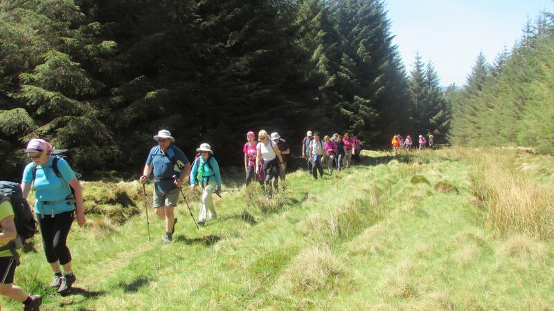 St Kevin’s Way, Co Wicklow.