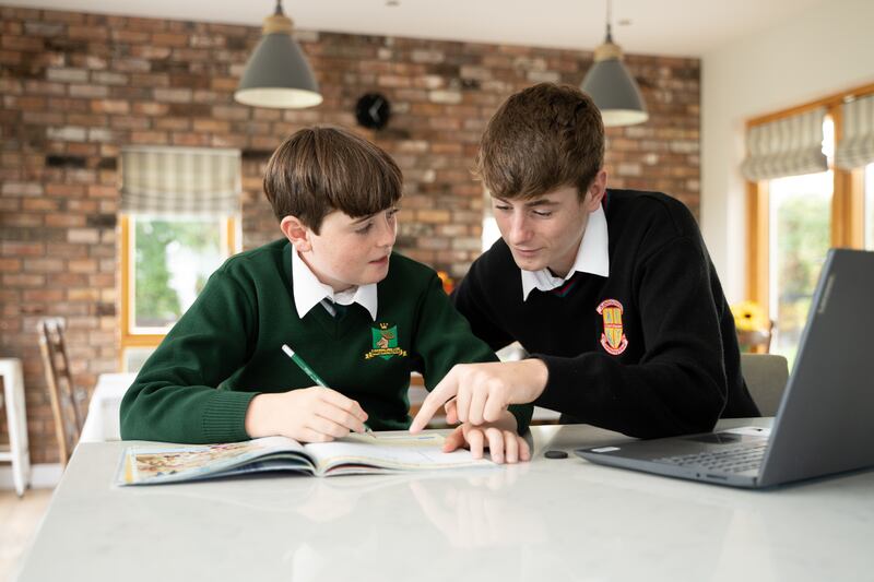 Homework assignments for brothers Luke and Patrick includes a large degree of online input