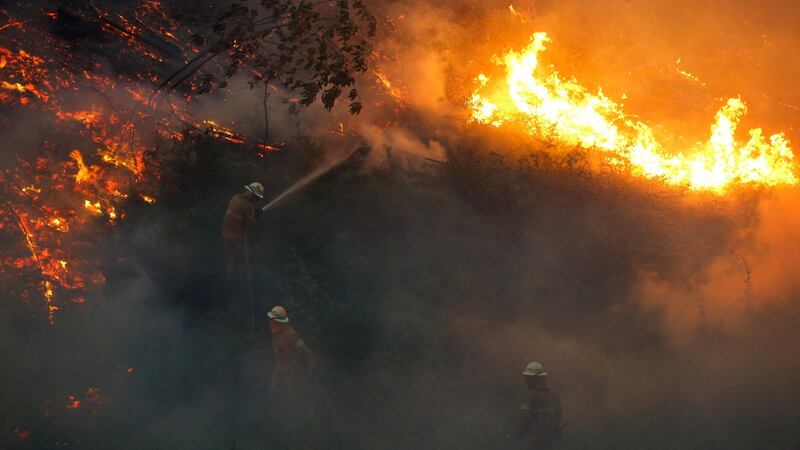 Firefighters work to put out a forest fire near the village of Fato, central Portugal, on Sunday. Photograph: Rafael Marchante/Reuters