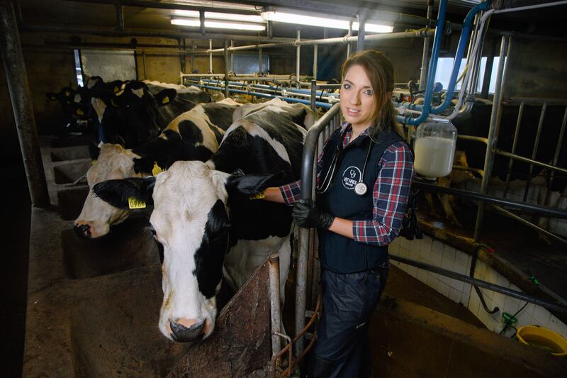 Hazell Mullins, a large animal vet pictured in North Cork. 
Pic Daragh Mc Sweeney/Provision