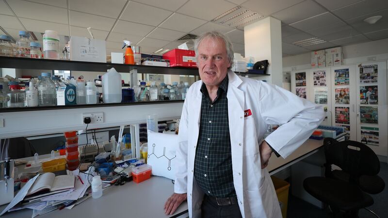 Photograph Nick Bradshaw/The Irish Times