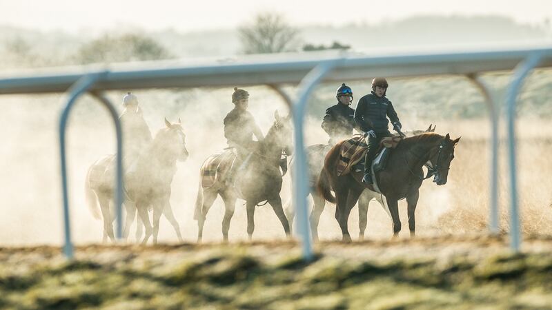Horses and jockeys on the Curragh Gallops earlier this month. Photograph: James Crombie/Inpho