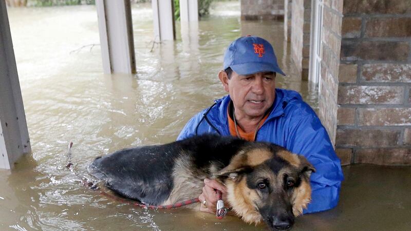 Joe Garcia carries his dog Heidi from his flooded home as he is rescued from rising floodwaters. Photograph: AP