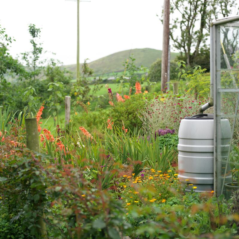 Photograph: Richard Johnston