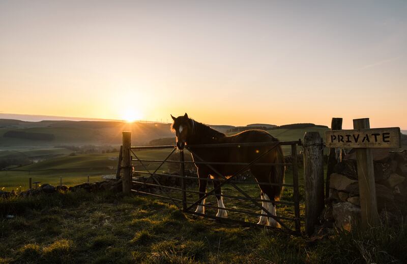 Pet friendly, Further Space Glamping, Co Wexford