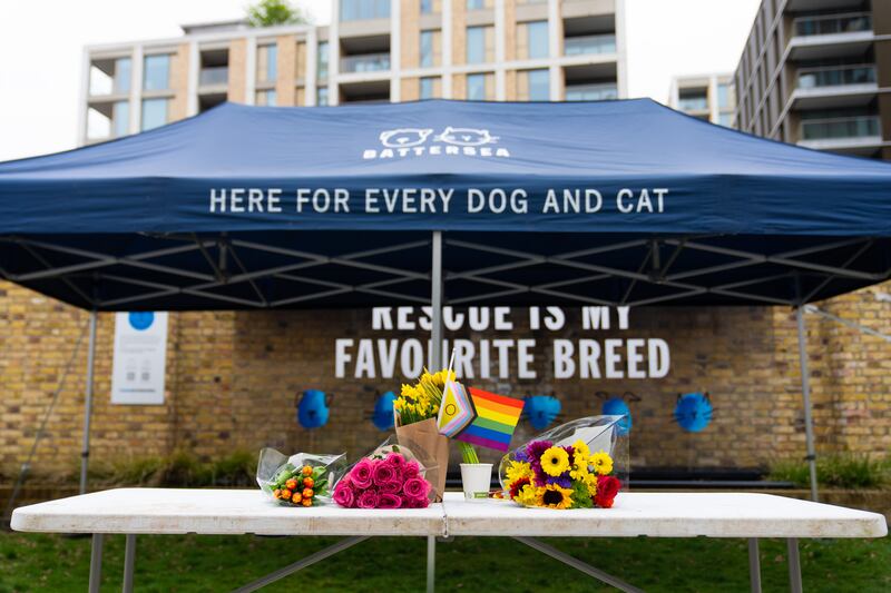 Tributes outside Battersea Dogs and Cats Home, where the late Paul O'Grady had been a Battersea Ambassador since 2012, on Wednesday. Photograph: Ming Yeung/Getty Images