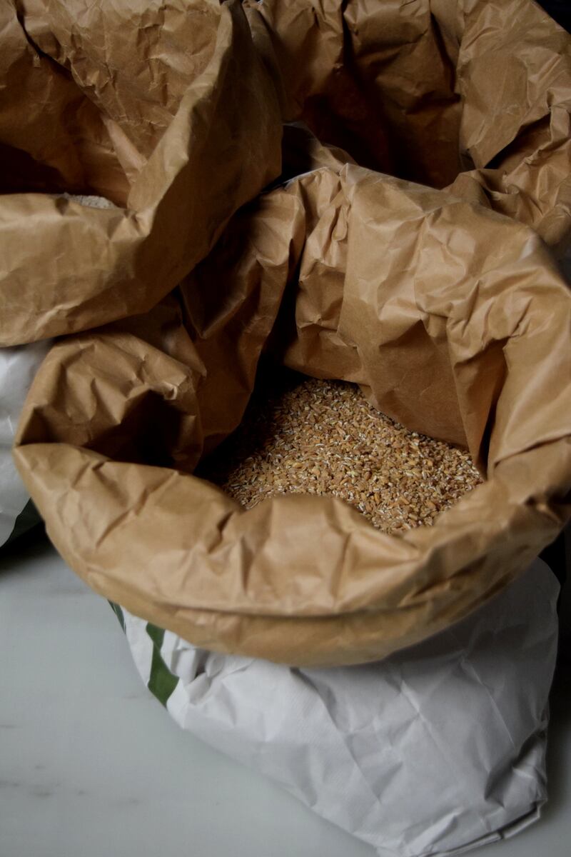 5. crushed emmer and barley. Photograph: Tasha Marks)