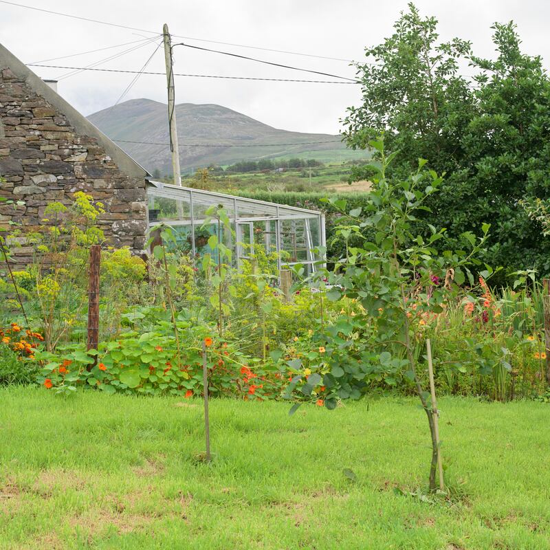 Photograph: Richard Johnston