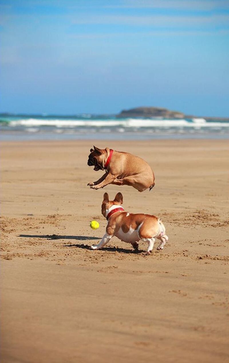 I believe I can fly. Photograph: Sebastian Mikolajczyk