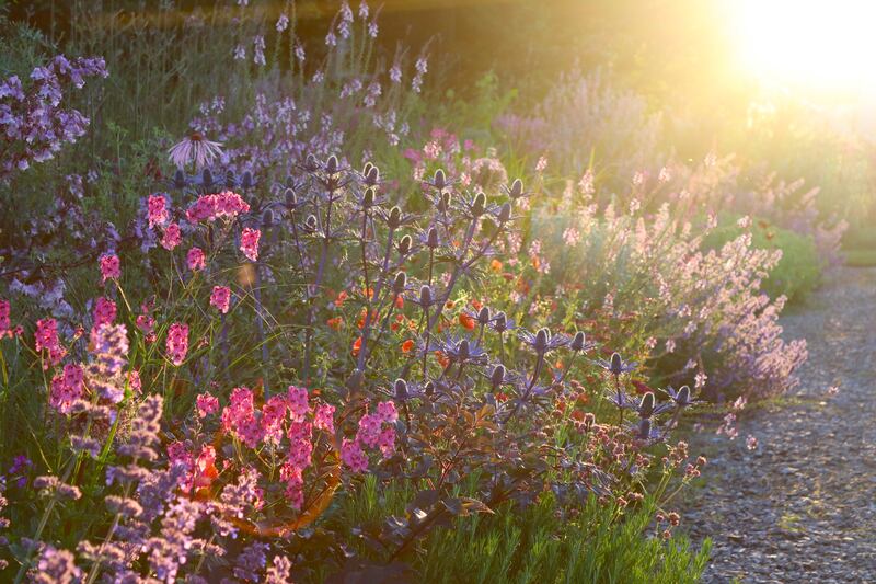 Patthana garden in the soft summer evening light. Photograph: TJ Maher