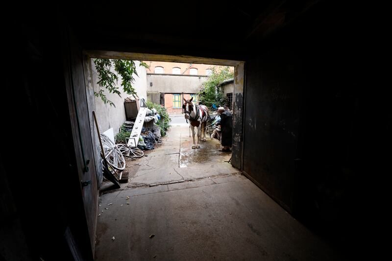 Padser and his mare Christine. Photograph: Nick Bradshaw