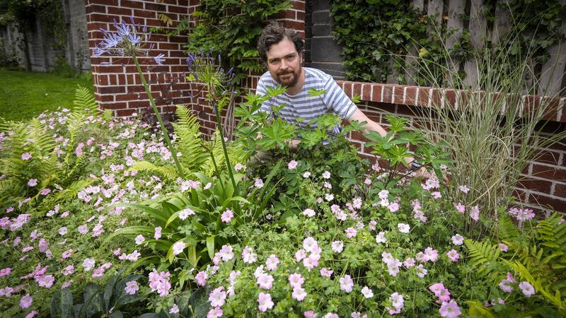 Adam Bermingham in his Flemingstown Park, Churchtown, garden. Photograph: Crispin Rodwell/The Irish Times
