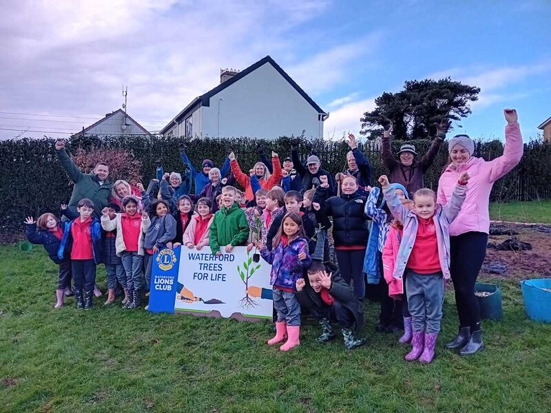 Waterford Trees for Life project. Photograph: Pauline Beglin
