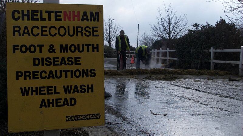 The Cheltenham Festival in 2001 was called off due to concerns about foot and mouth disease. Photograph: Julian Herbert/Allsport