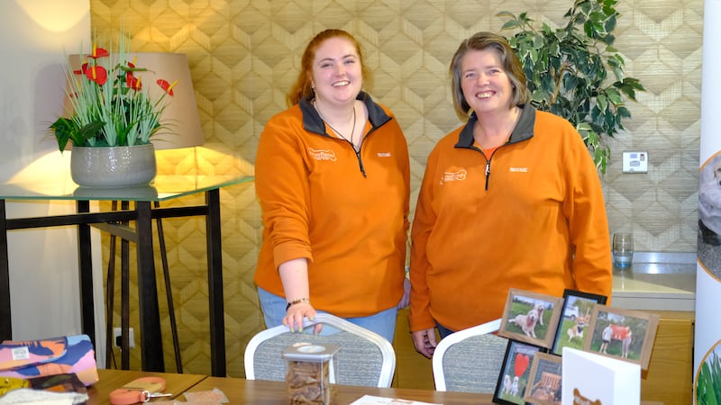 Woofland off leash dog parks offer fun and freedom for dogs to play