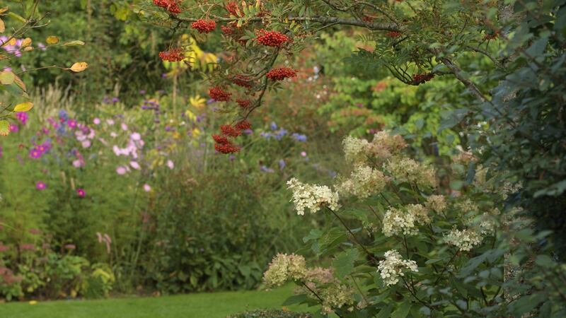 Photograph: Richard Johnston