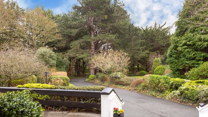 The tree-lined driveway