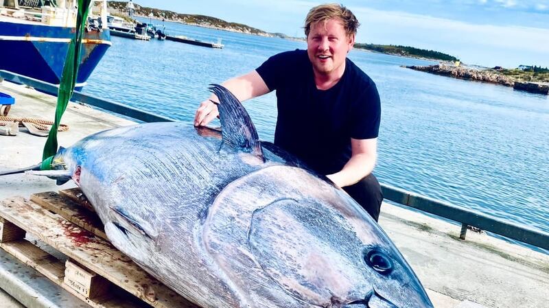 Arvid Sørdal, Måsøval with the bluefin tuna that went straight into the salmon pen at Froyfjorden in Norway.