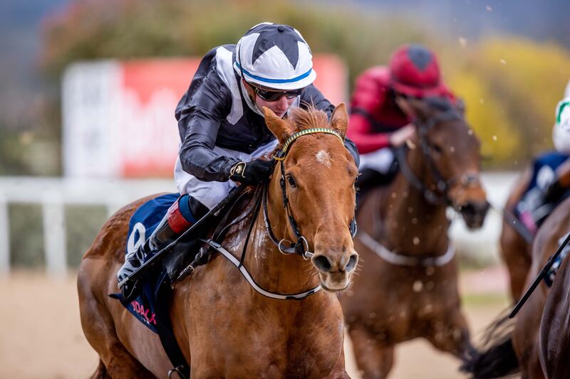Wesley Joyce, on his first ride, steers Misterio to second place at Dundalk in 2021. Photograph: Morgan Treacy/Inpho 