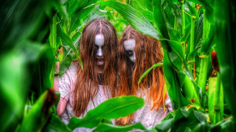 Enter the Spooktacular Horror Farm at Grove Gardens near Kells, Co Meath – if you dare