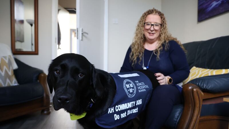 King’s Hospital School where community dog Nala is there during the week and works with resident psychotherapist Clair Breen. Photograph Nick Bradshaw/The Irish Times