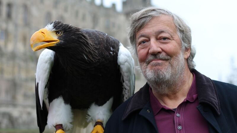Stephen Fry in Fantastic Beasts: A Natural History