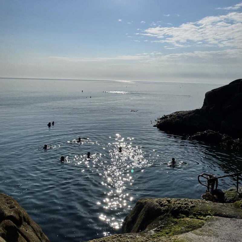 Swimmers enjoy an early morning swim  at the Forty Foot, in Dublin, on Sunday morning. Photograph: Nicci Brock