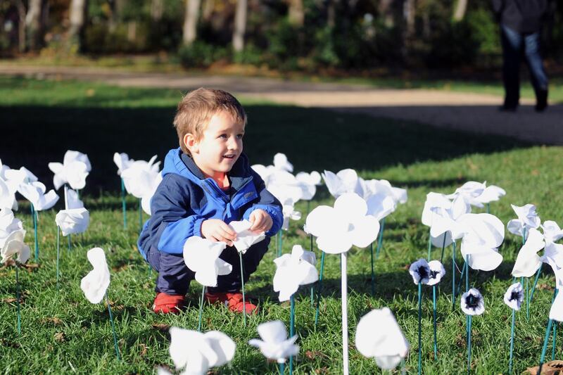 Jugo Czubaj (3), from Dublin, takes stock of a display of handmade white poppies in Merrion Square, Dublin. The display was organised by the Dublin Quaker Peace Committee for its commemoration of Armistice Day. Photograph: Aidan Crawley/The Irish Times
