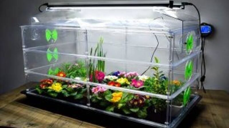 The Vitopod large propagator with grow lights is perfect for cultivating micro-greens throughout the year (€298 at quickcrop.ie).