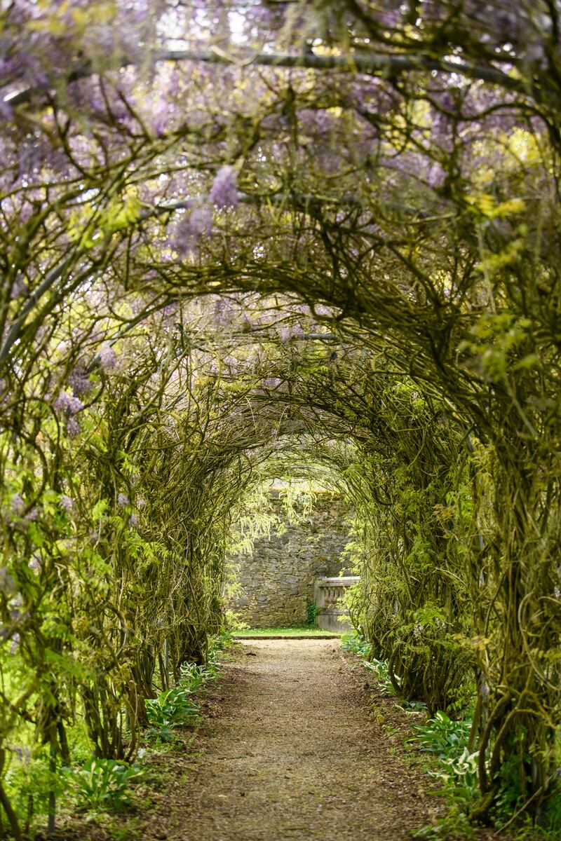 One of two garden arches at Grenane House