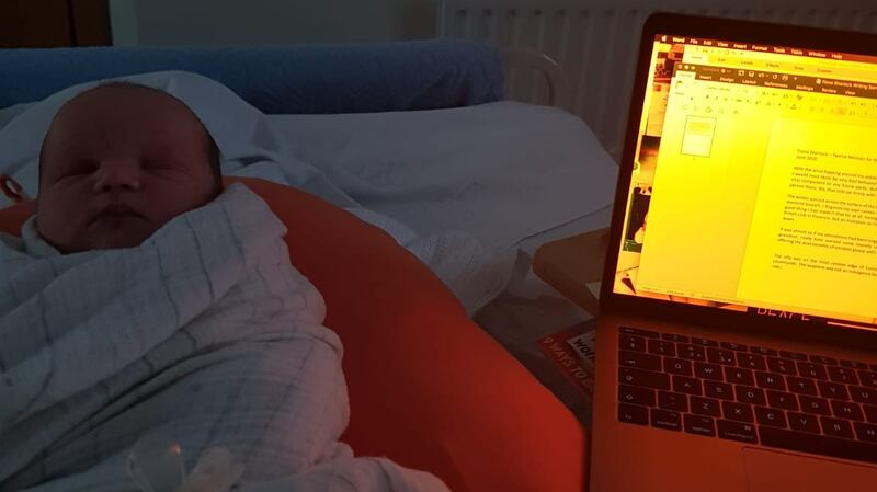 Baby Sherlock and work-in-progress on Fiona Sherlock’s laptop in the Rotunda