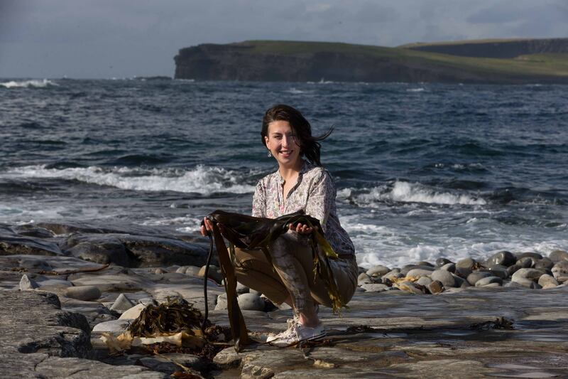 Siobhan Fairfax foraging seaweed at Kilkee. Photograph: Eamon Ward 