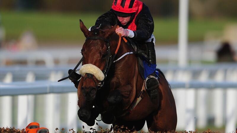 Peregrine Run ridden by Roger Loughran will be competing in the Coral Cup on Wednesday.  Photo by Harry Trump/Getty Images)