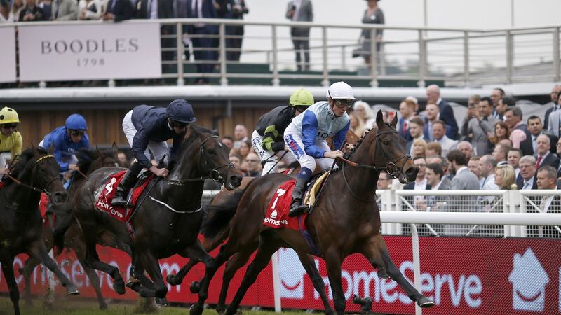 Cliffs of Moher may go into the race as favourite come start time on Saturday. Photo: Getty Images