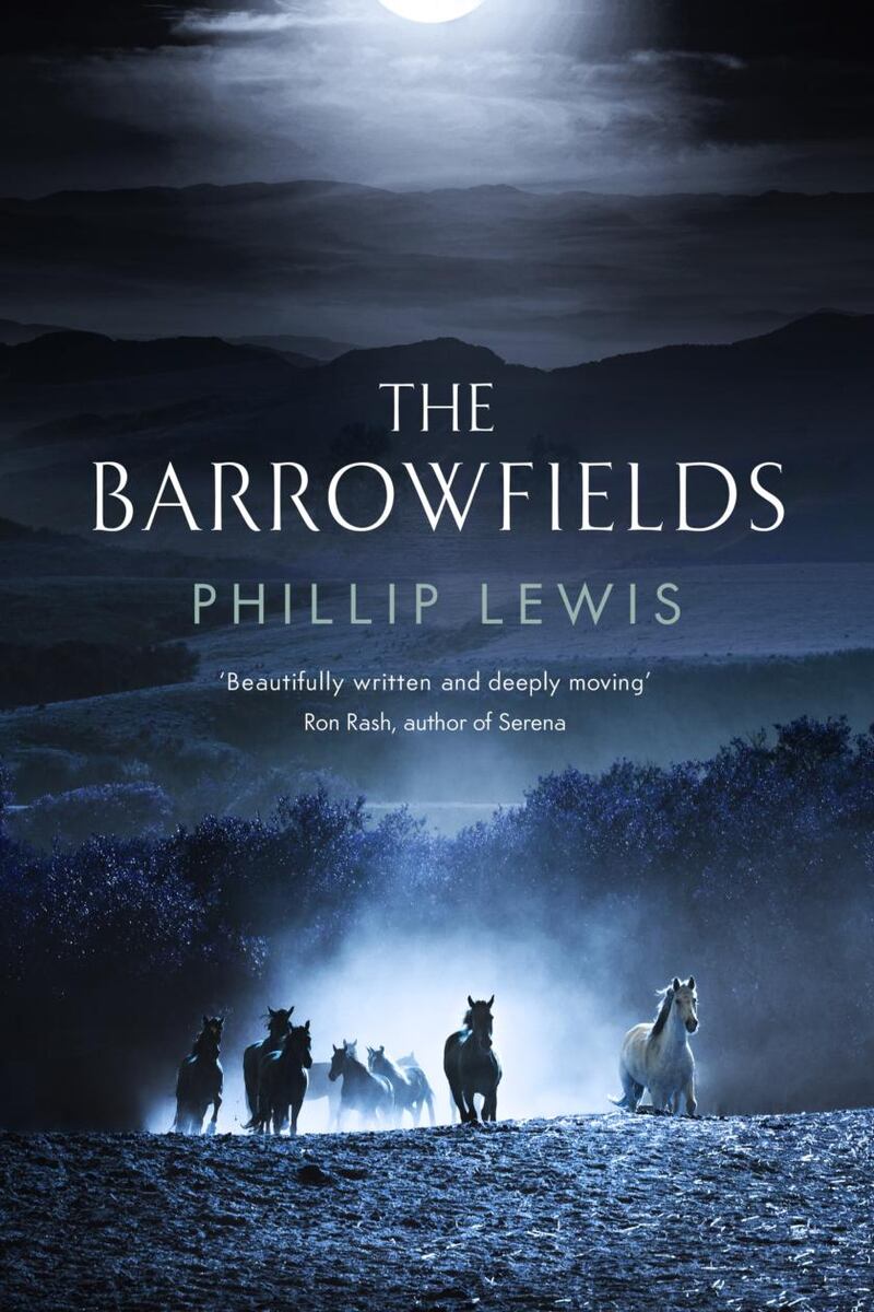 The Barrowfields  follows the lives and tragedies of the Aster family across the decades, set in the high Appalachian mountains and the historic low country of South Carolina